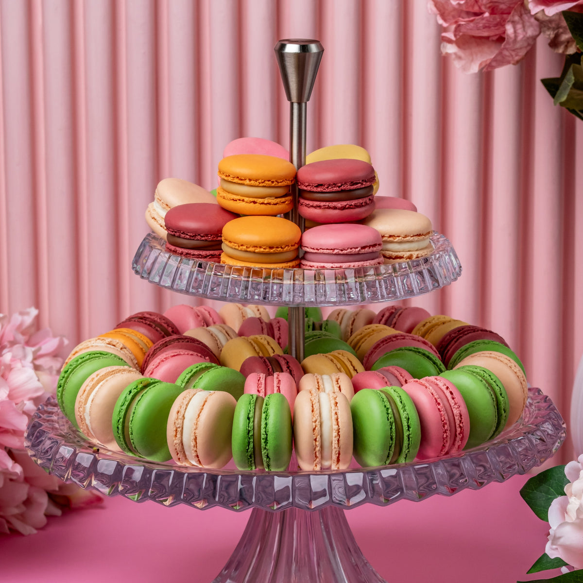 Macaron Snickerdoodle Vegan Macarons - Macaron Centrale ジャケット・アウター